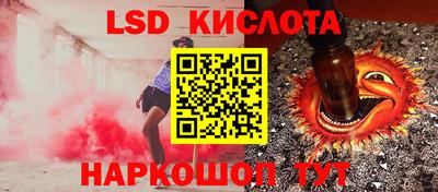 a pvp Бийск