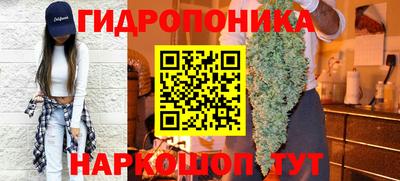 ГАЛЛЮЦИНОГЕННЫЕ ГРИБЫ Берёзовский
