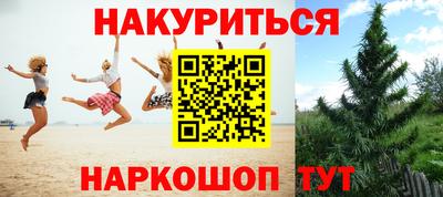 ГАЛЛЮЦИНОГЕННЫЕ ГРИБЫ Берёзовский